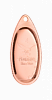 Focus 4
